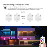 BTF-LIGHTING SPI PWM LED Controller with 4-Zone RF Remote
