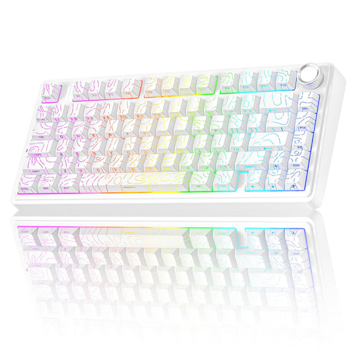 Input Devices