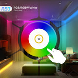 BTF-LIGHTING SPI PWM LED Controller with 4-Zone RF Remote